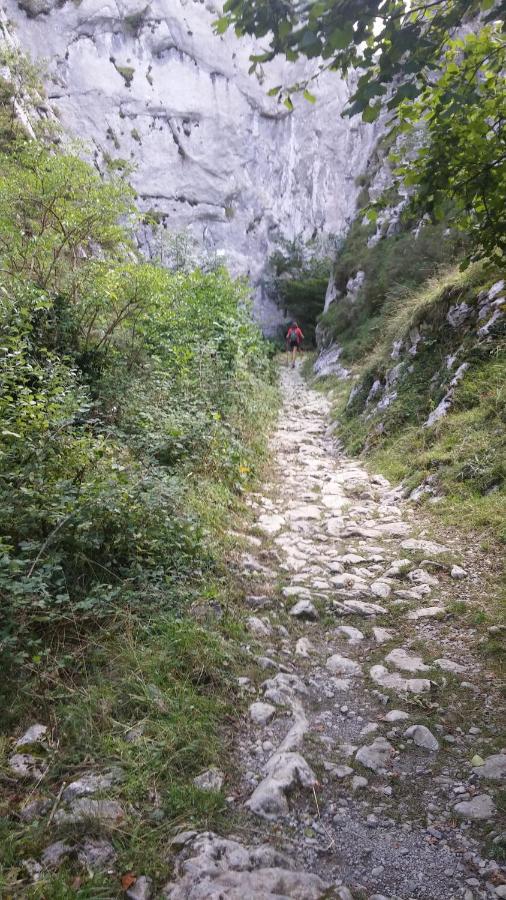 Apto. De Montana La Campa En Felechosa Bagian luar foto
